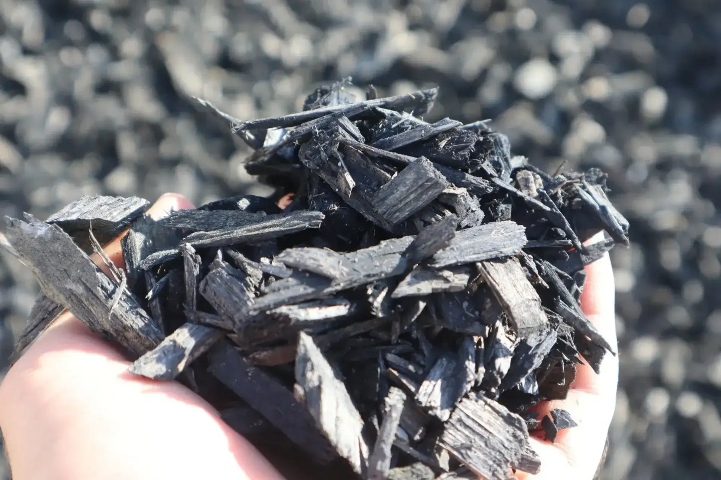 Black Dyed Mulch