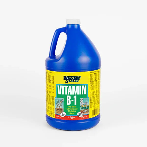 Western States Vitamin B-1 1 Gallon