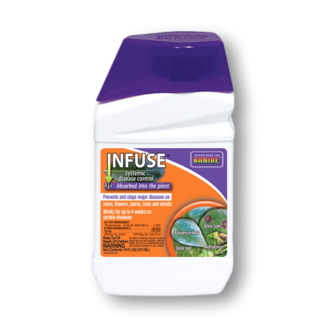 Bonide Infuse Systemic Fungicide for Turf