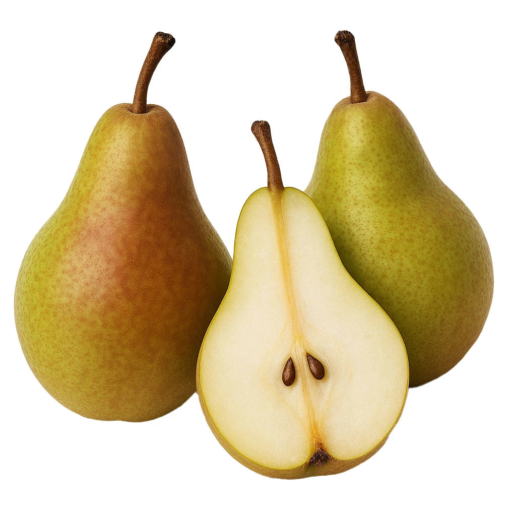 Pear 'Warren'