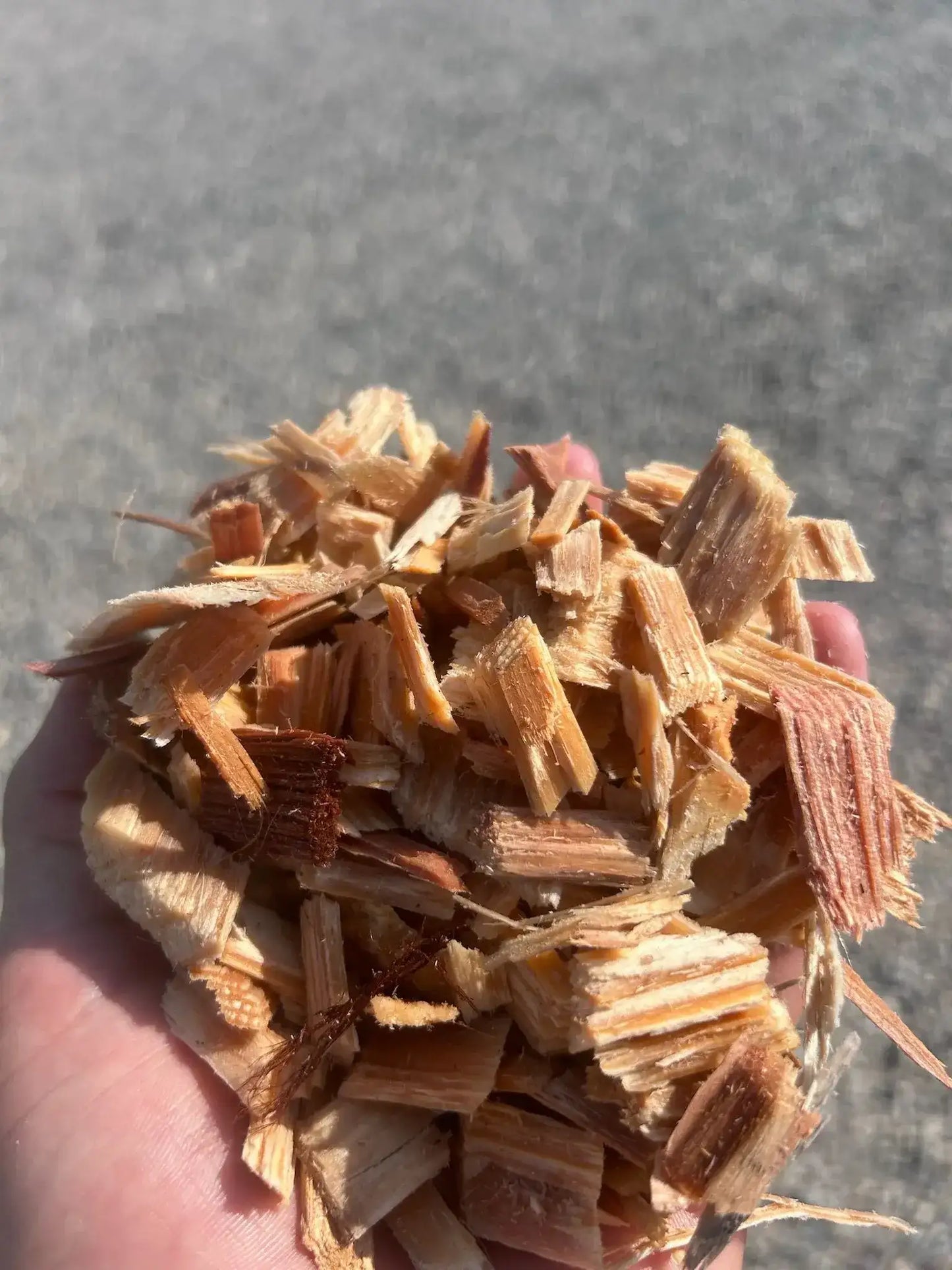 Redwood Chips