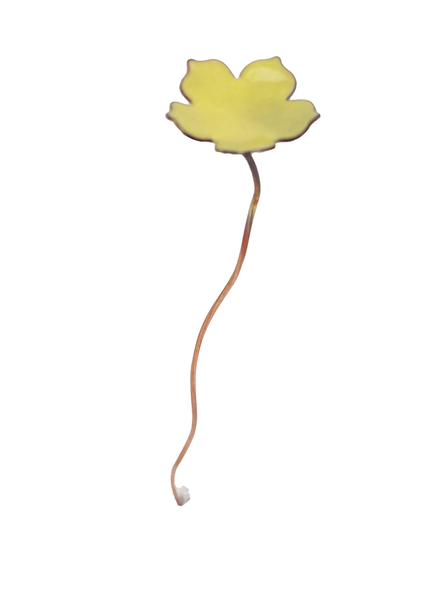 Enamel 5 Petal Flower Stem