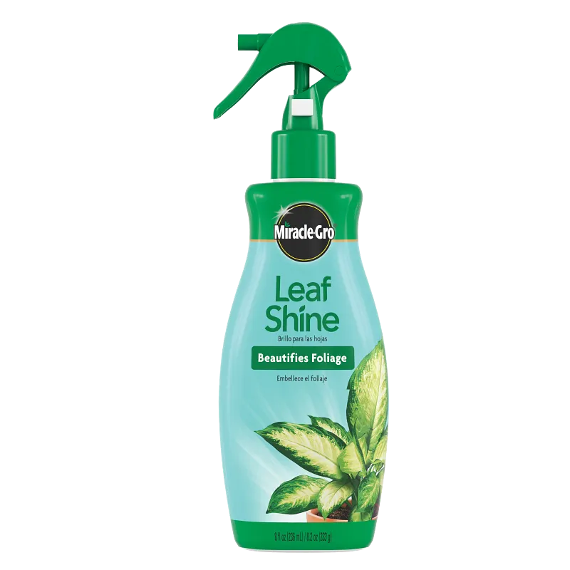 Miracle Gro Leaf Shine