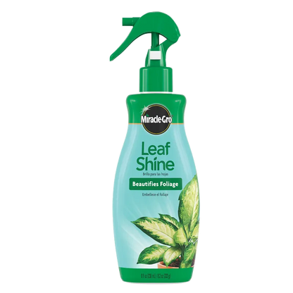 Miracle Gro Leaf Shine