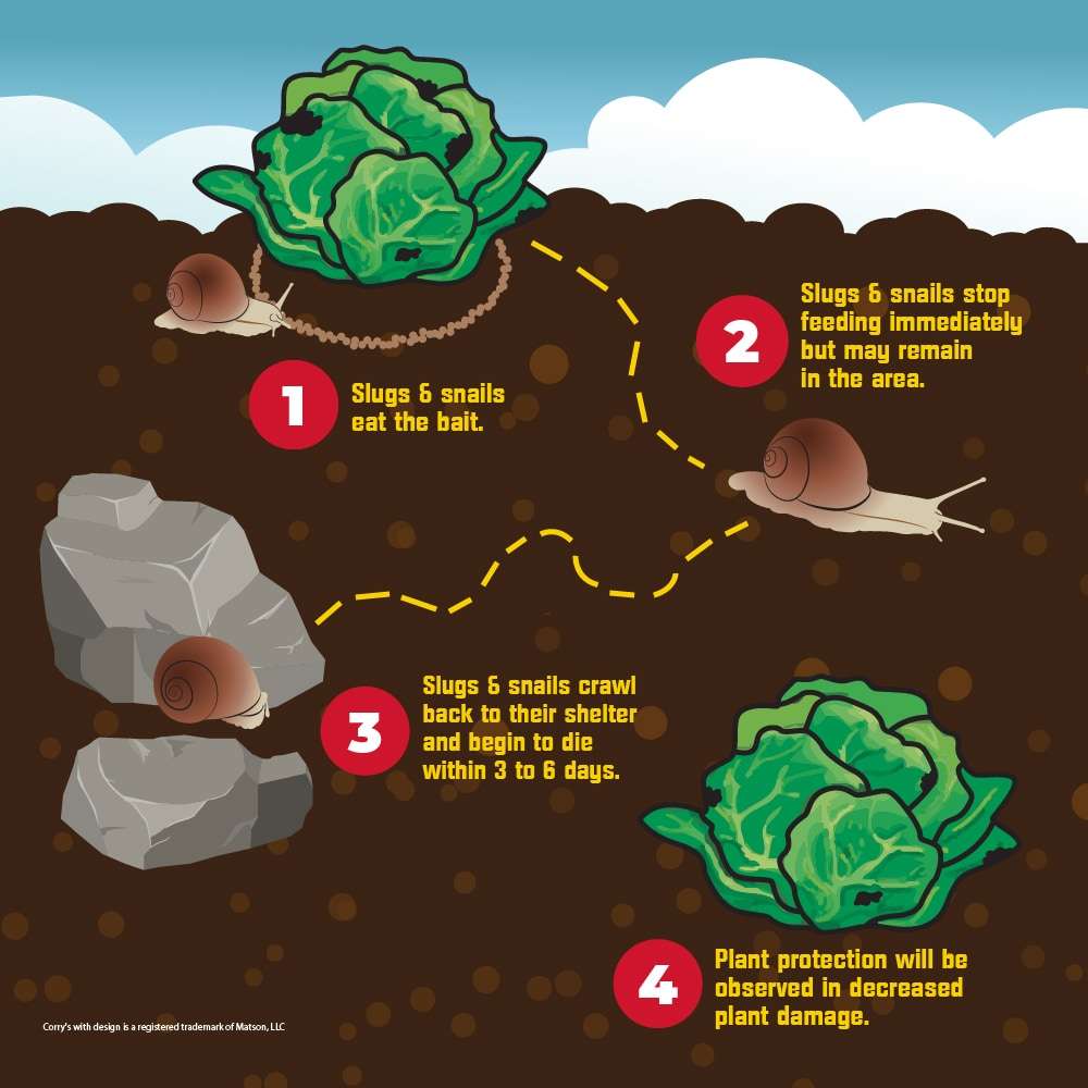 Corry's Slug & Snail Killer Ready-To-Use Pellets