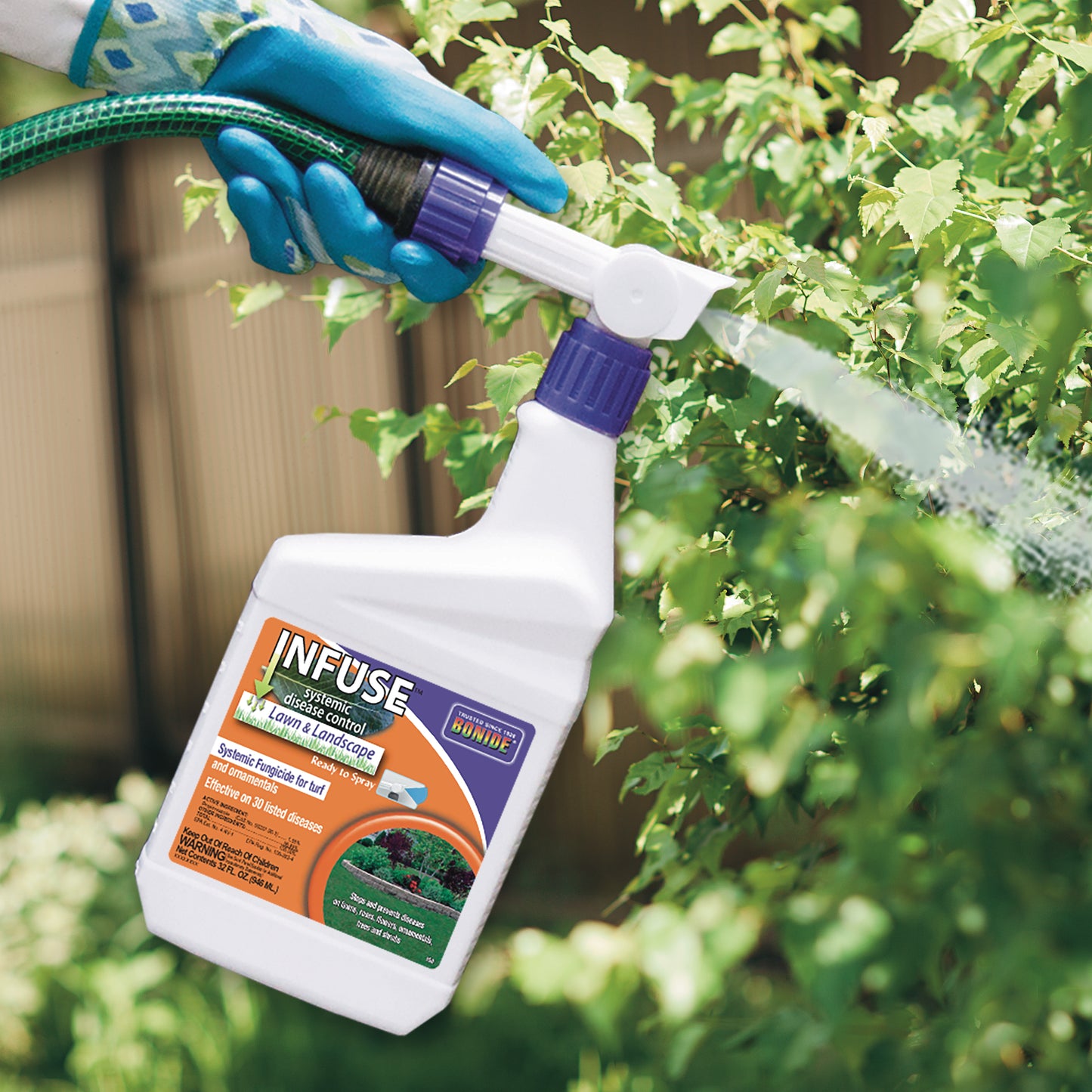 Bonide Infuse Systemic Disease Control Lawn & Landscape Ready-to-Spray