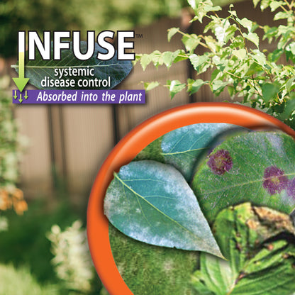 Bonide Infuse Systemic Disease Control Lawn & Landscape Ready-to-Spray