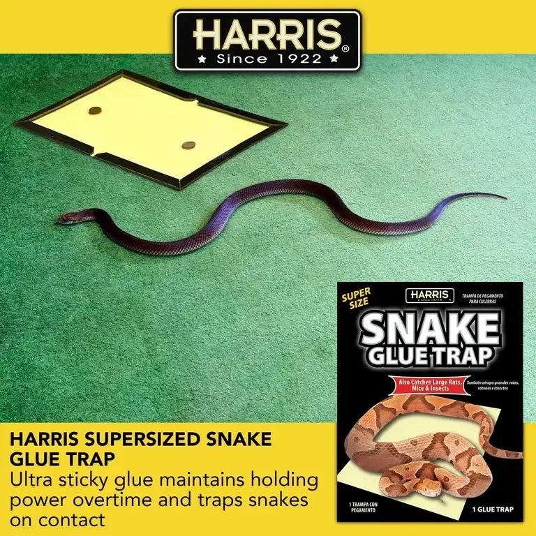 PF Harris Super Size Snake Glue Trap, 1 Pack