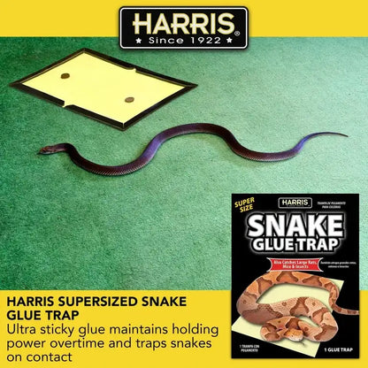 PF Harris Super Size Snake Glue Trap, 1 Pack