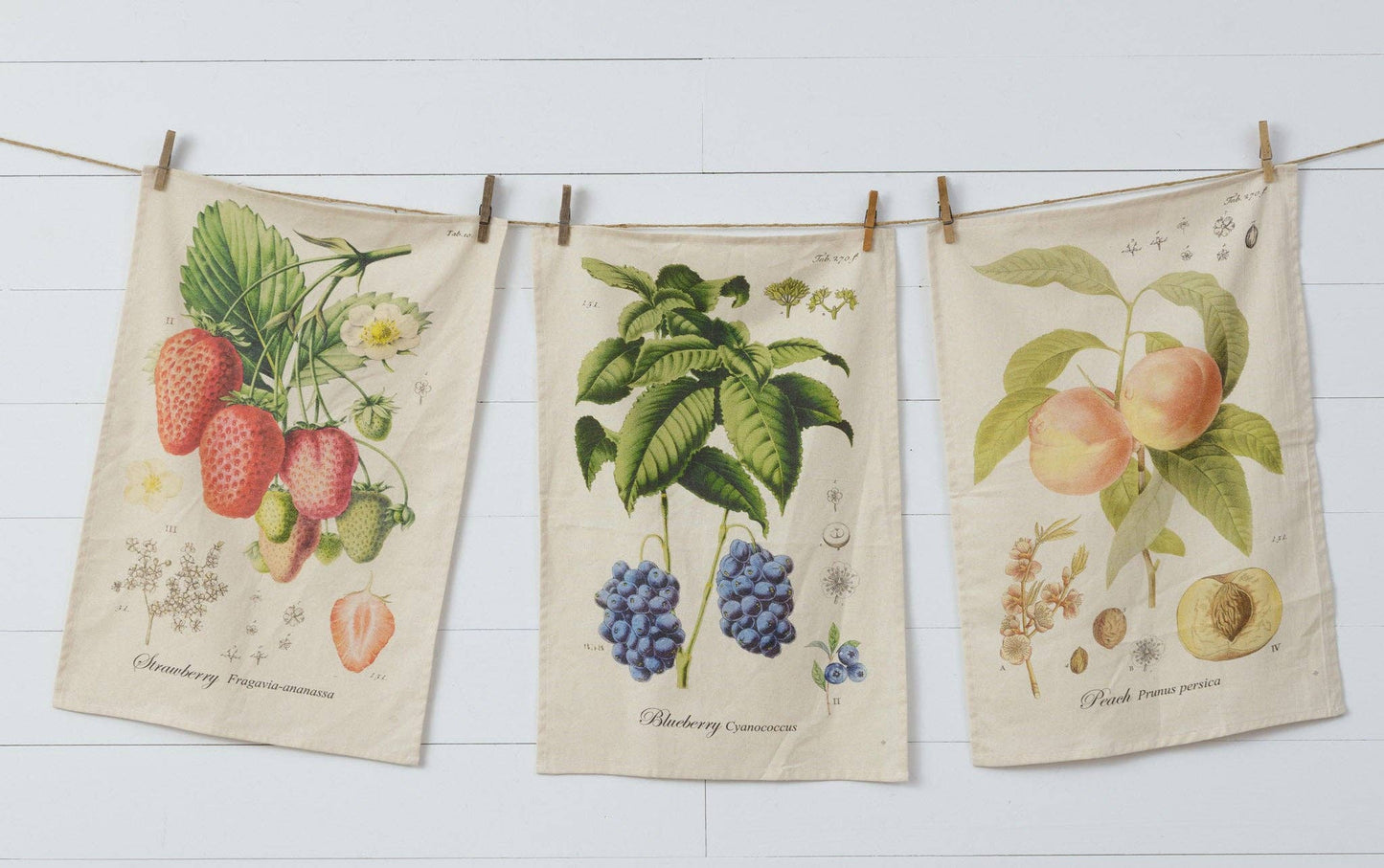 Tea Towels - Freshly Picked (Pk/03 Ast)
