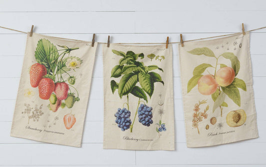 Tea Towels - Freshly Picked (Pk/03 Ast)