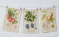 Tea Towels - Freshly Picked (Pk/03 Ast)