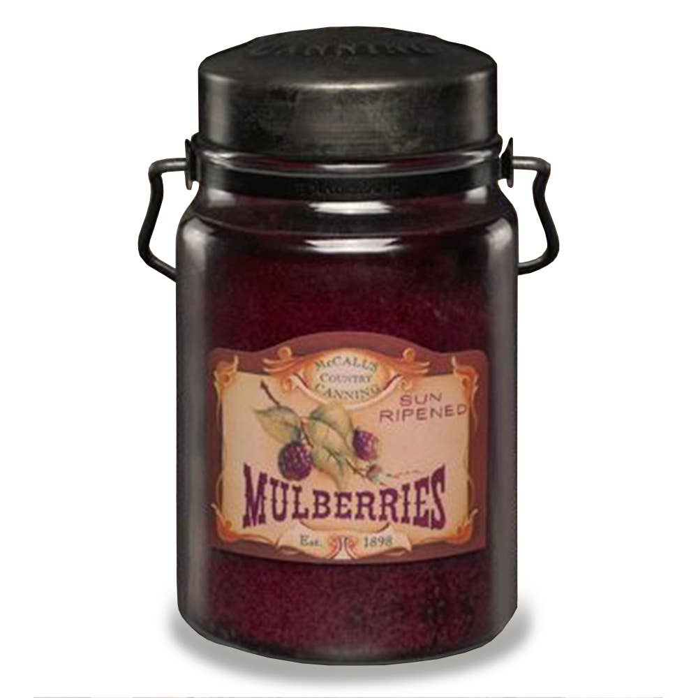 Classic Jar Candle-26oz-MULBERRY