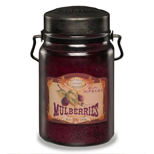 Classic Jar Candle-26oz-MULBERRY