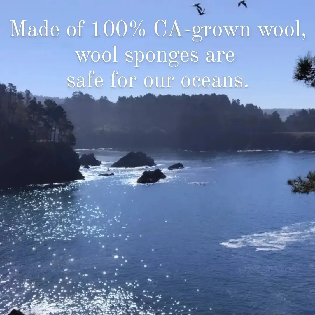Wool Dish Sponges ~ Climate Beneficial™ (case of 12 units)