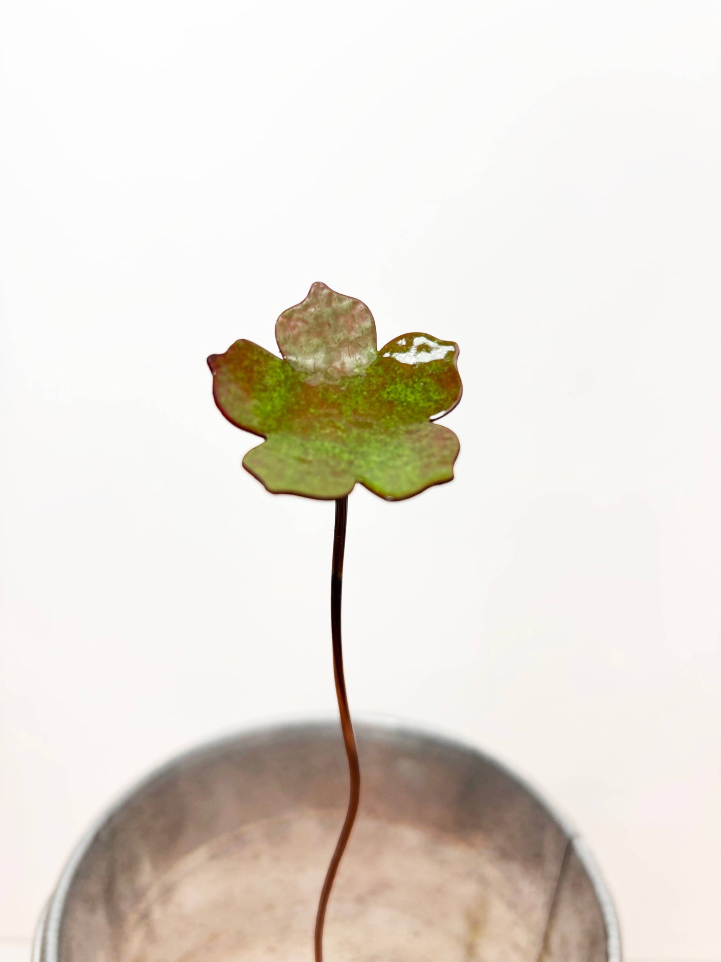 Enamel 5 Petal Flower Stem