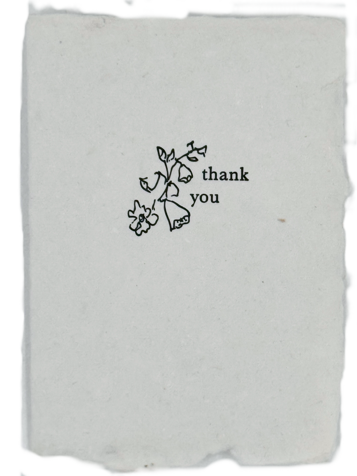 Foxglove Sketch Thank You Card