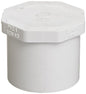 1/2" PVC Plug