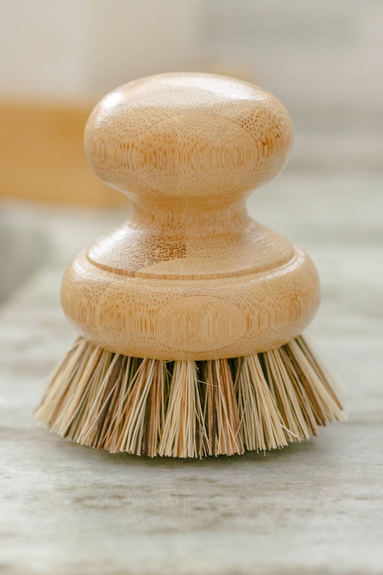 No Tox Life Casa Agave Pot Scrubber Brush - Thumbnail 5