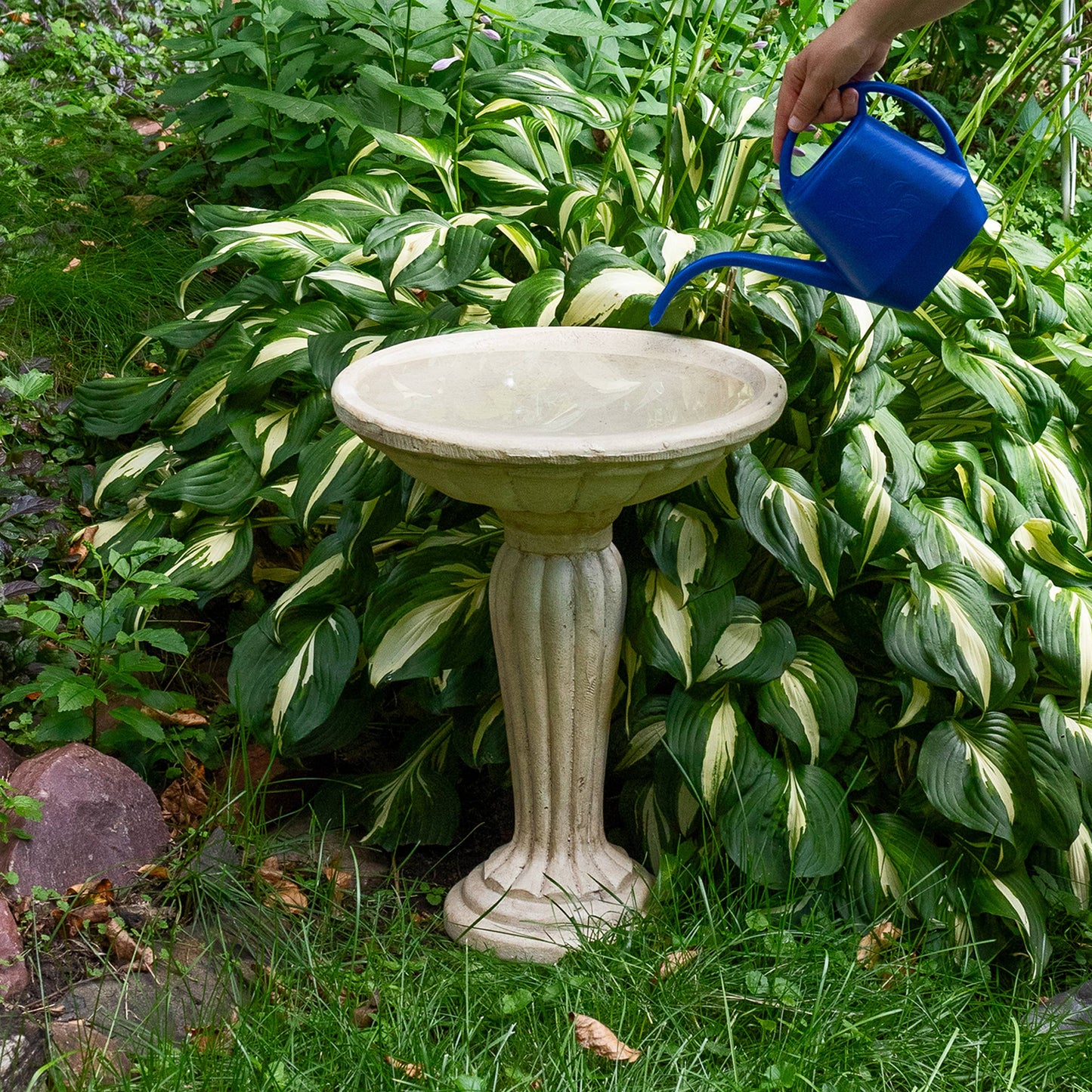 Grecian Reinforced Concrete Bird Bath - 16 in - White