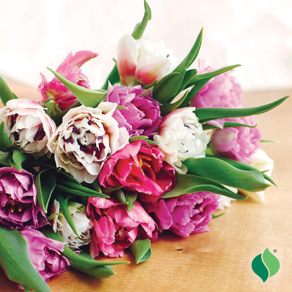 Tulip Florist Treat Mix