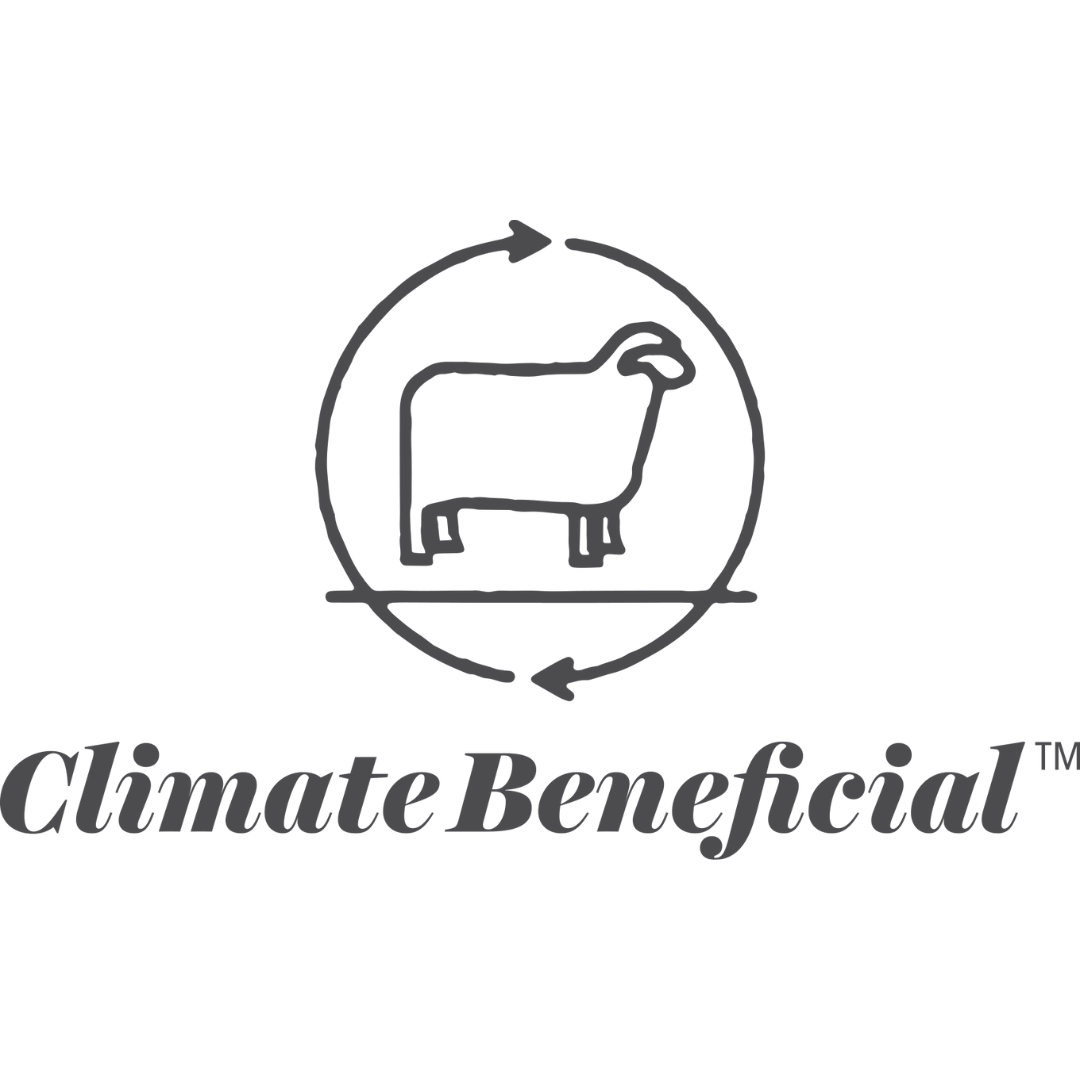 Wool Dish Sponges ~ Climate Beneficial™ (case of 12 units)