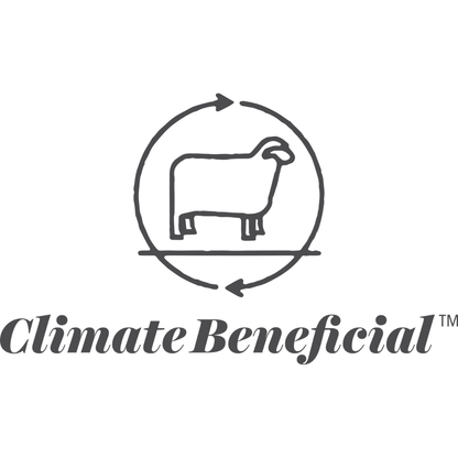 Wool Dish Sponges ~ Climate Beneficial™ (case of 12 units)