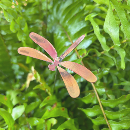 Small Natural Copper Dragonflies