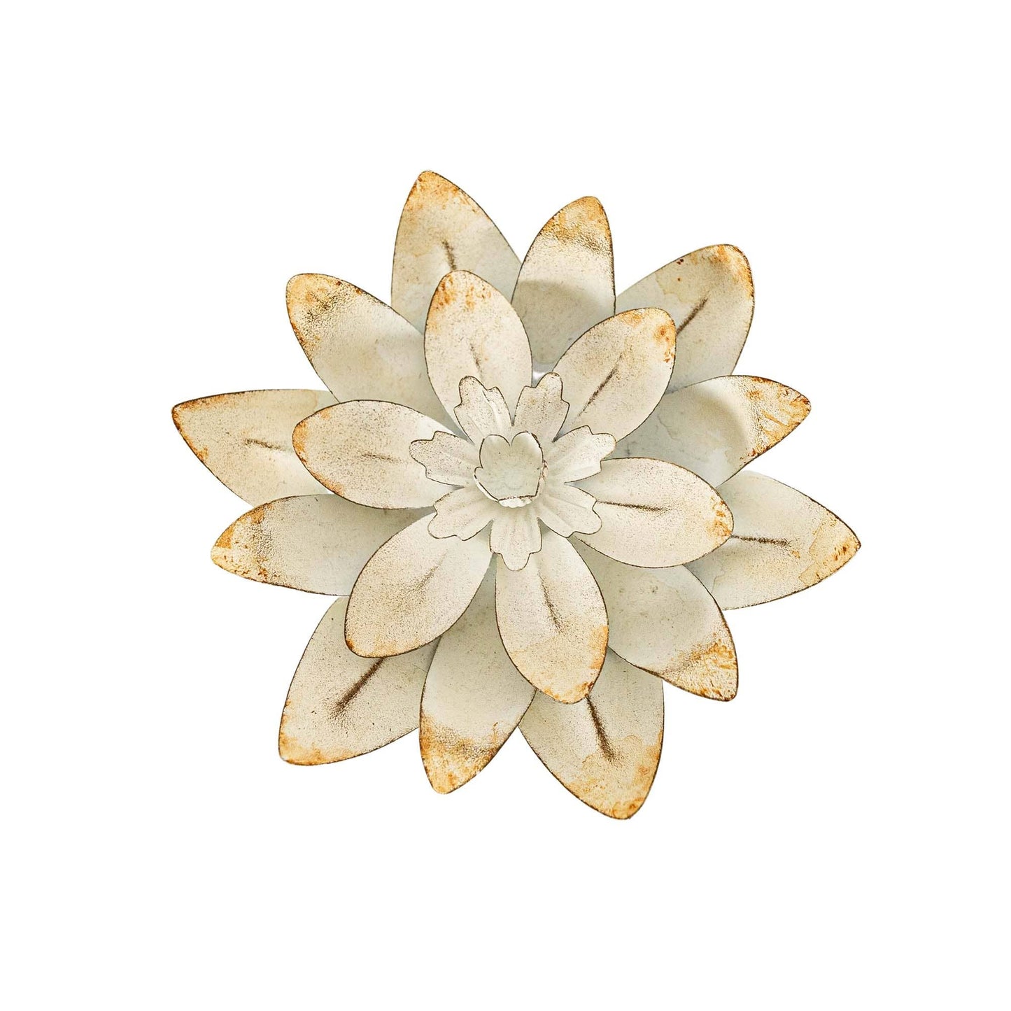 Abeline Wall Flower