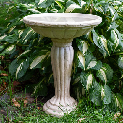 Grecian Reinforced Concrete Bird Bath - 16 in - White
