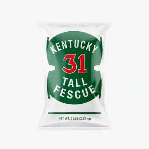Barenbrug Kentucky 31 Tall Fescue Grass Sun or Shade Grass Seed