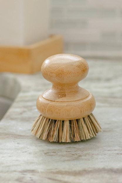 CASA AGAVE® Pot Scrubber Brush - No Tox Life