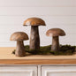 Mango Wood Carved Mushroom (Set Of 3) (Pk/02 Sets)
