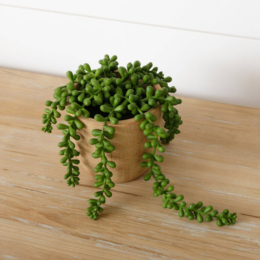 Faux Potted String Of Pearls (PC)