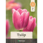 Tulip Early Glory Bulbs