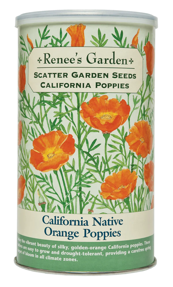 Renee's Garden California Native Orange Poppies