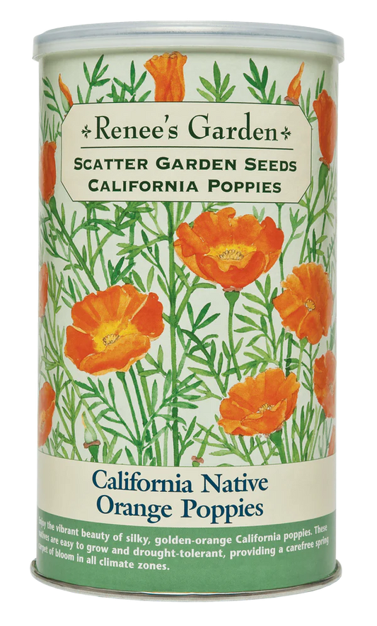 Renee's Garden California Native Orange Poppies