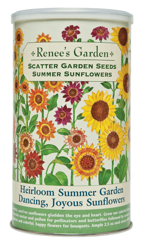 Heirloom Summer Garden Dancing, Joyous Sunflowers Scatter Can