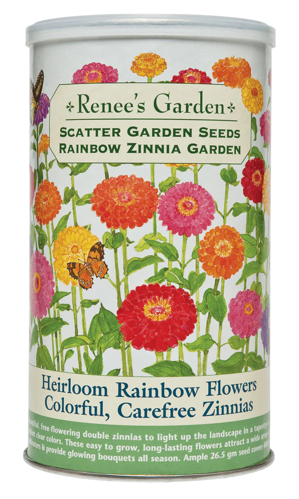 Heirloom Rainbow Flowers, Colorful, Carefree Zinnias Scatter Can