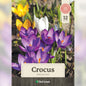 Crocus Bulbs