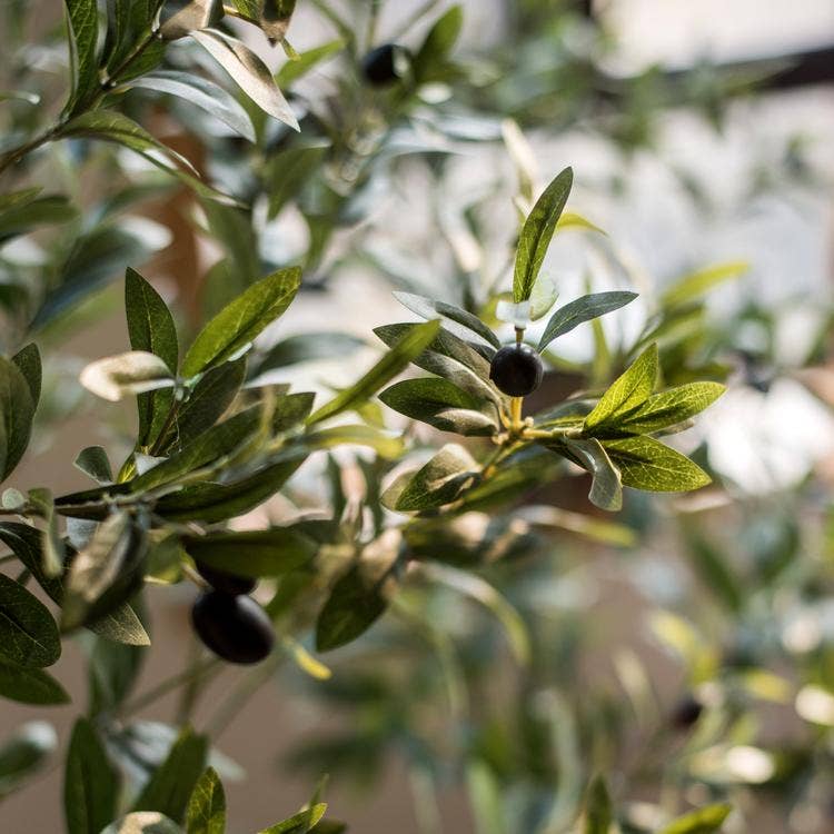 Artificial Olive Tree