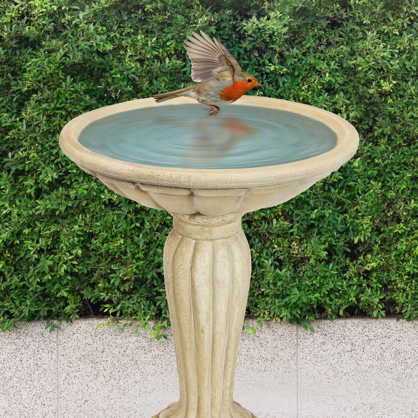 Grecian Reinforced Concrete Bird Bath - 16 in - White
