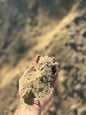 Screened Fill Dirt