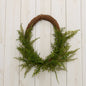 Wreath - Oval Twig Base, Mixed Ferns (PC)