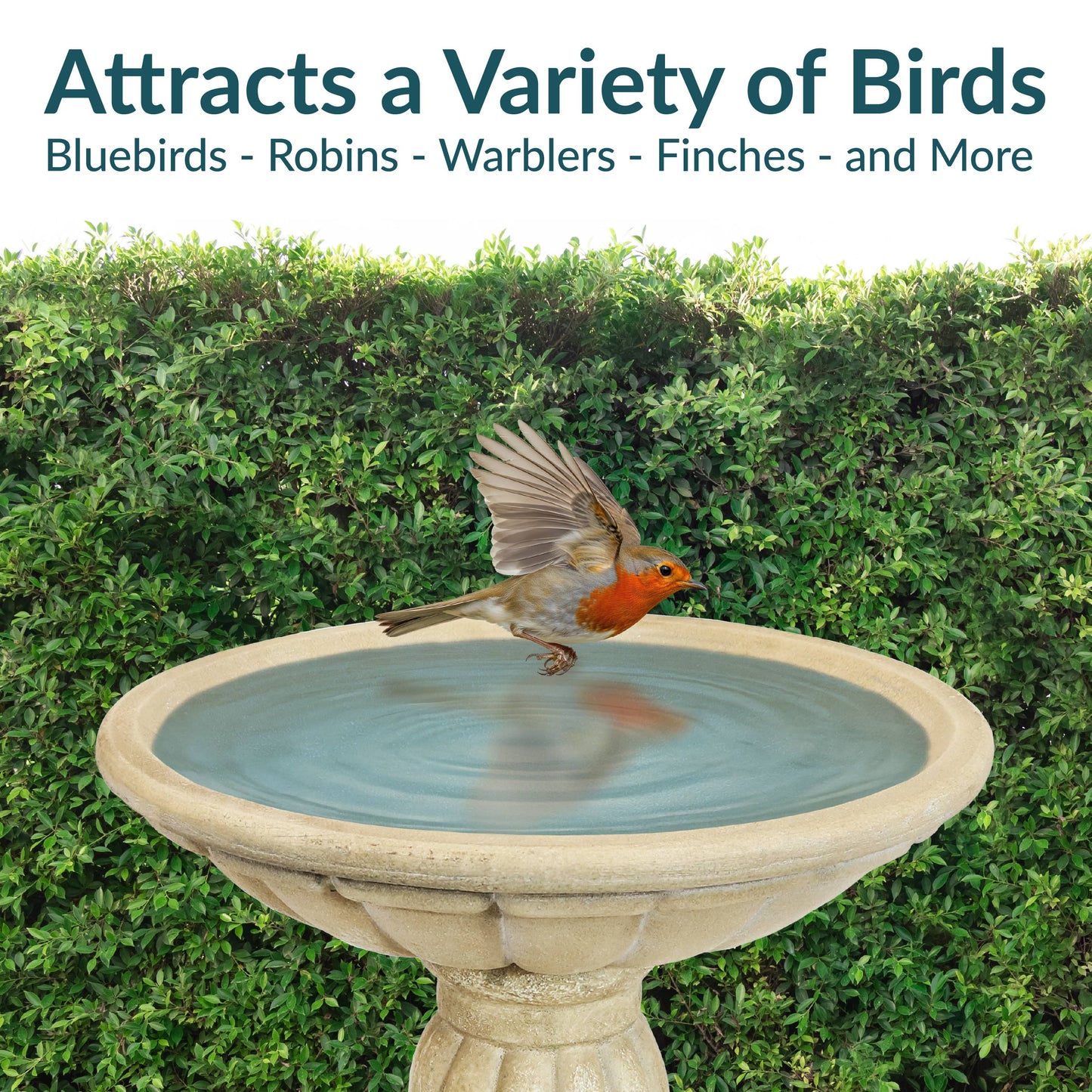 Grecian Reinforced Concrete Bird Bath - 16 in - White