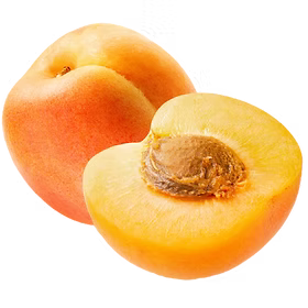 Apricot 'Moorpark'