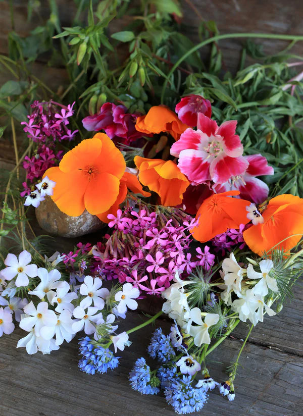 Renee's Garden Colorful & Carefree Annual Wildflowers