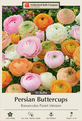 Pastel Mixture Persian Buttercups Ranunculus Bulb