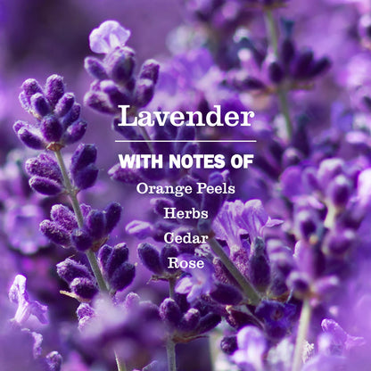 Mrs Meyers Lavender Multi-Surface Everyday Cleaner