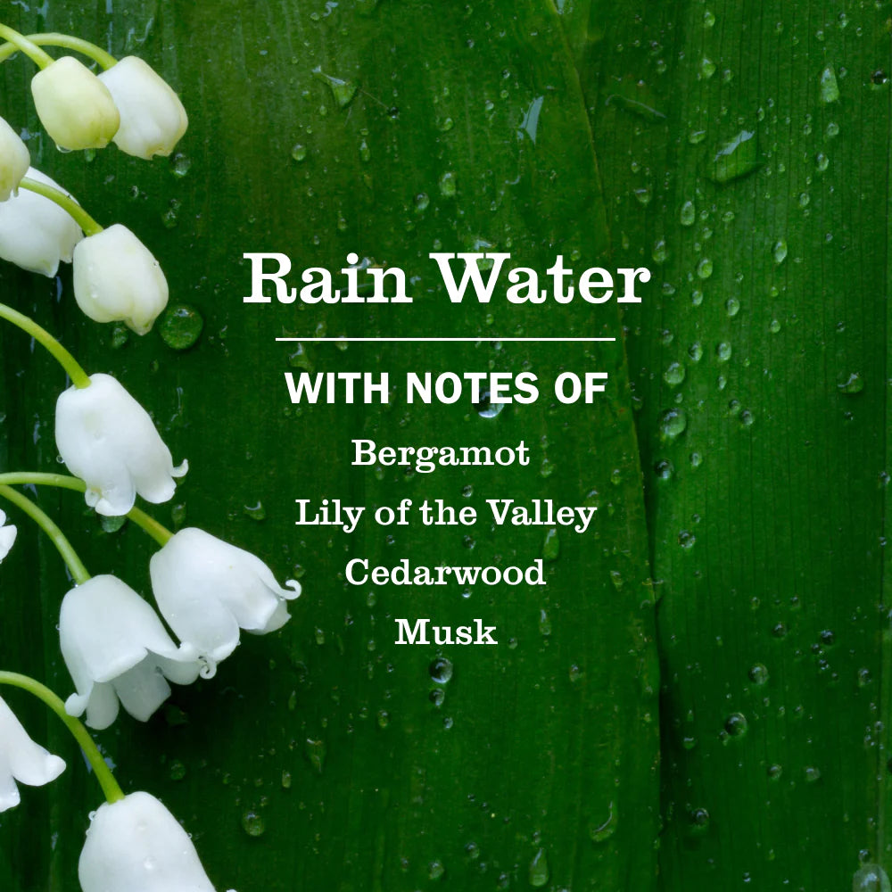 Mrs Meyers Rain Water Multi-Surface Everyday Cleaner